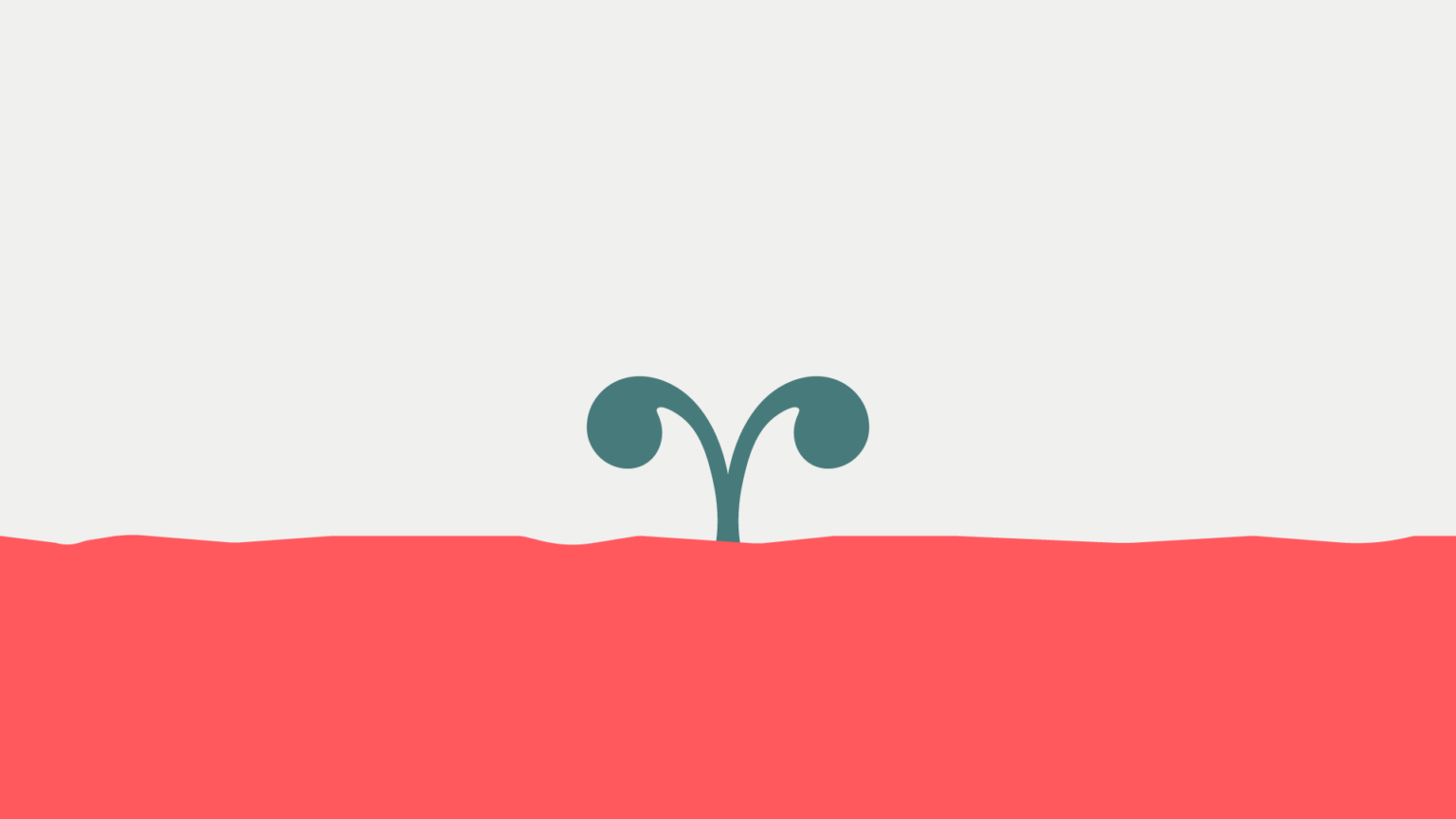 Fondazione Severino Illustrazioni RGB 2 01 1536x864