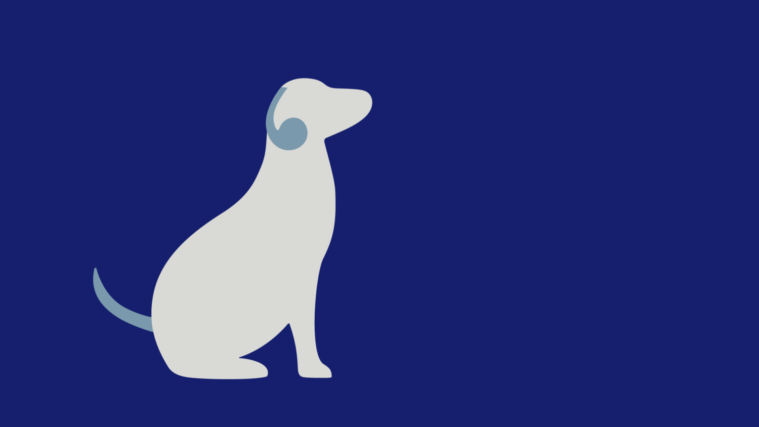 Fondazione Severino Illustrazioni RGB 2 26 1536x864