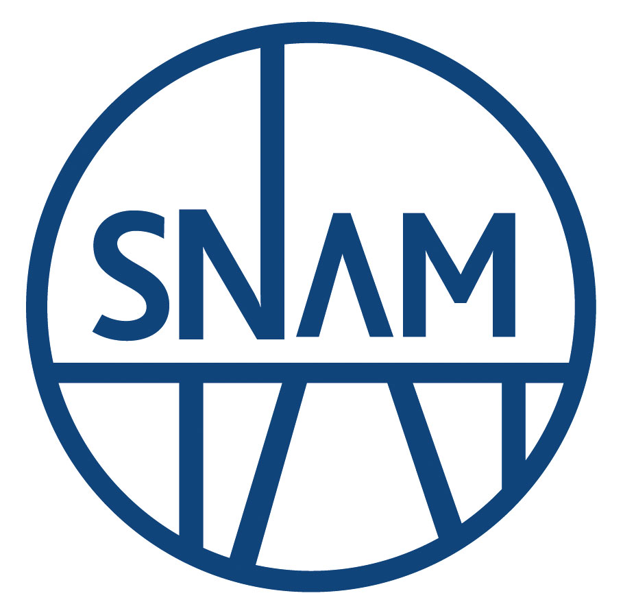 SNAMLOGO Old
