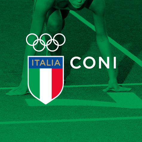 1423671187 7083 CONI VERDE