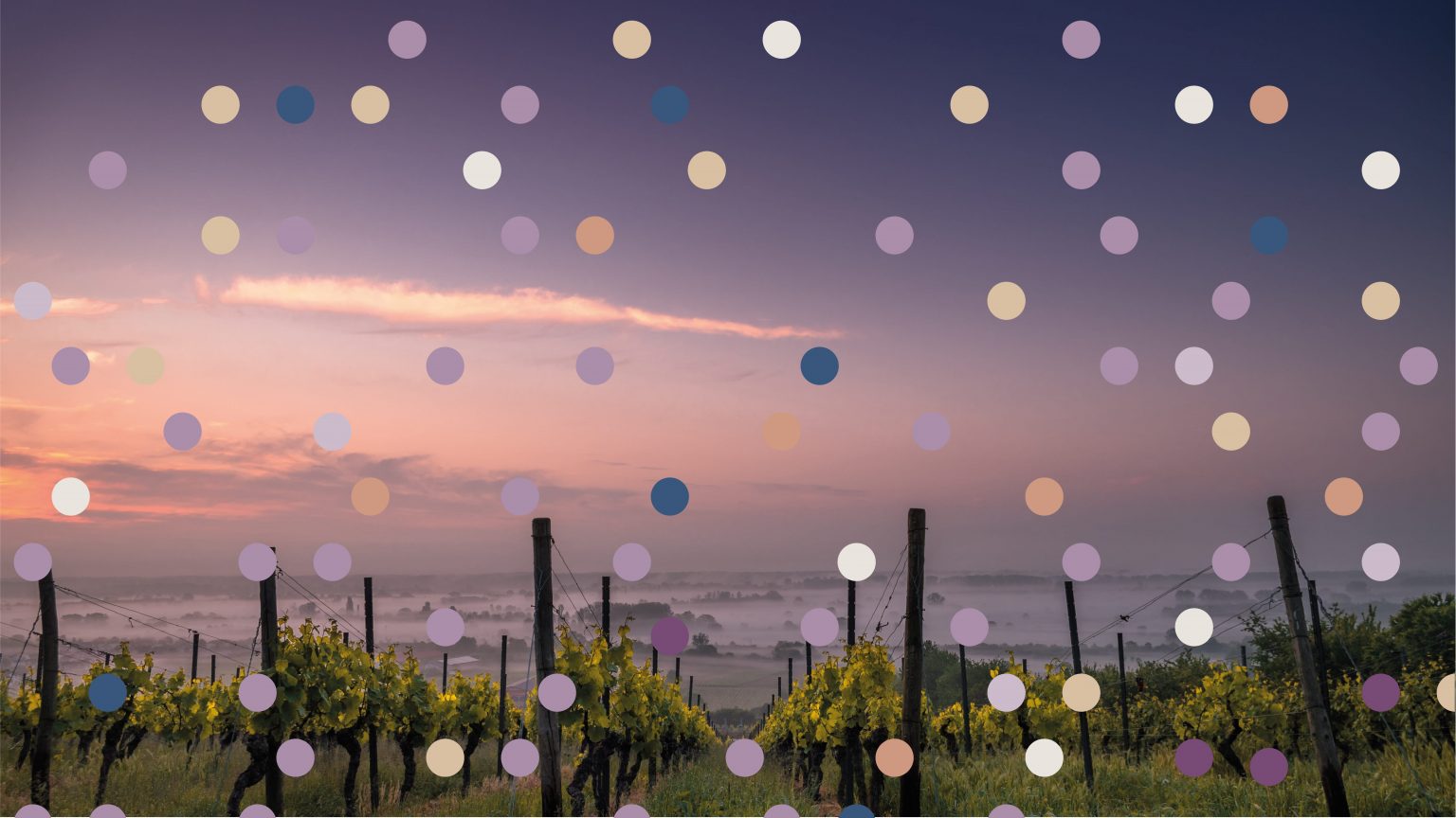 20191120 Vinitaly DESEXP2 18 1536x864