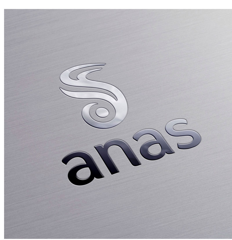 ANAS 19