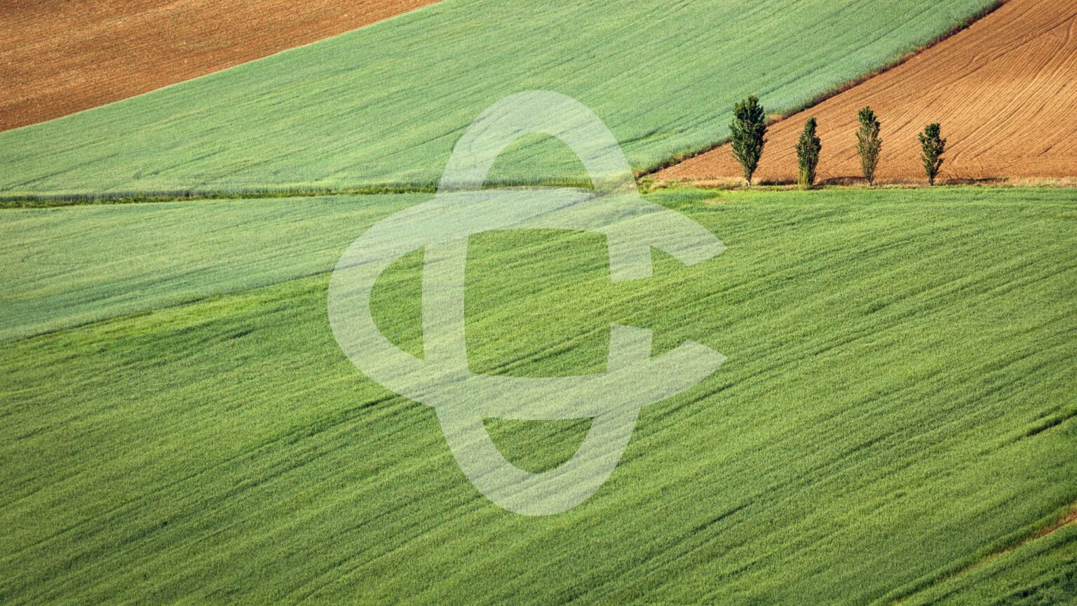 BCC CHACH001 1536x864