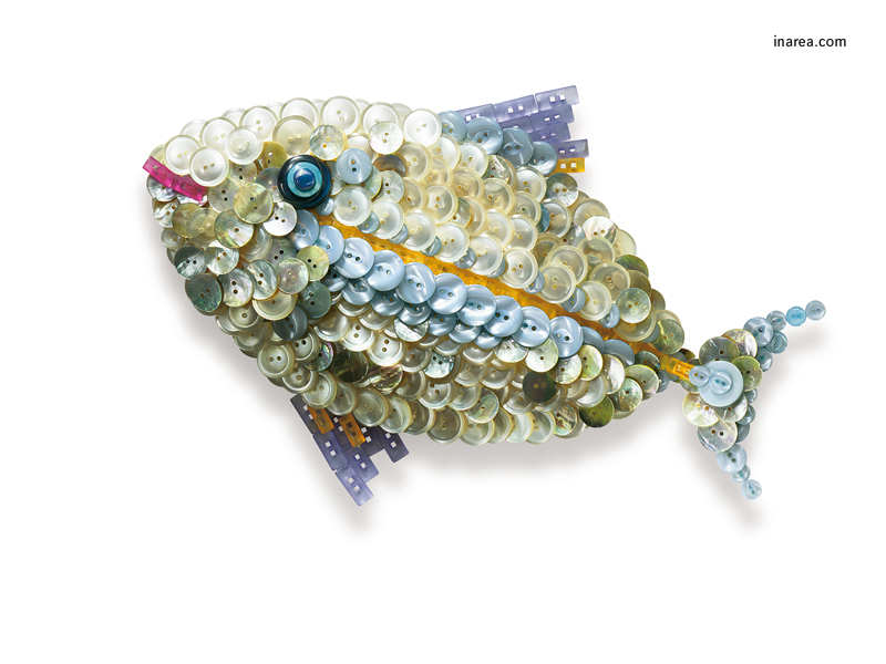 Inarea Imaginarea 01 04 1