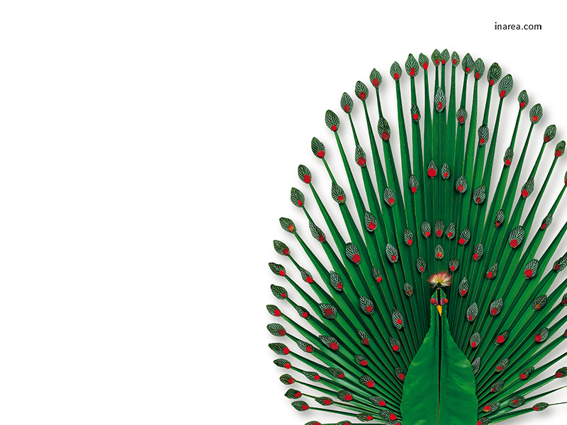 Inarea Imaginarea 01 05