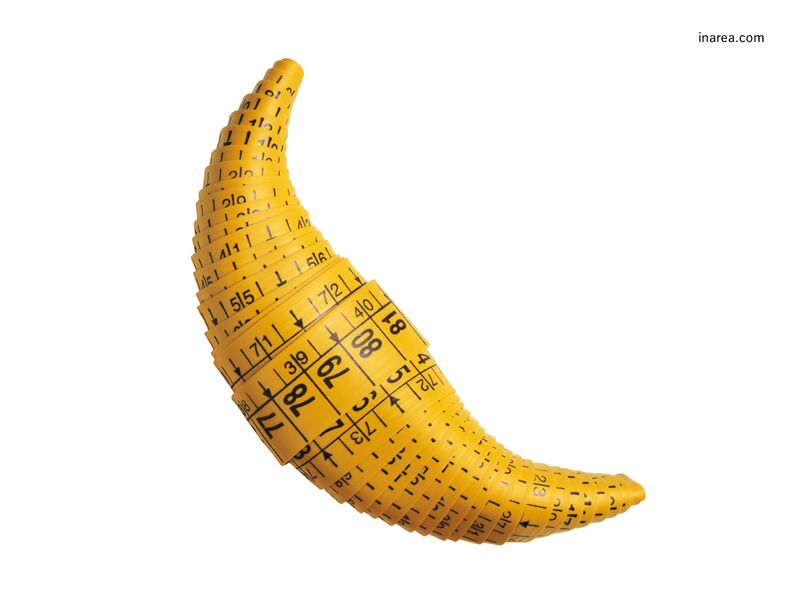 Inarea Imaginarea 01 10