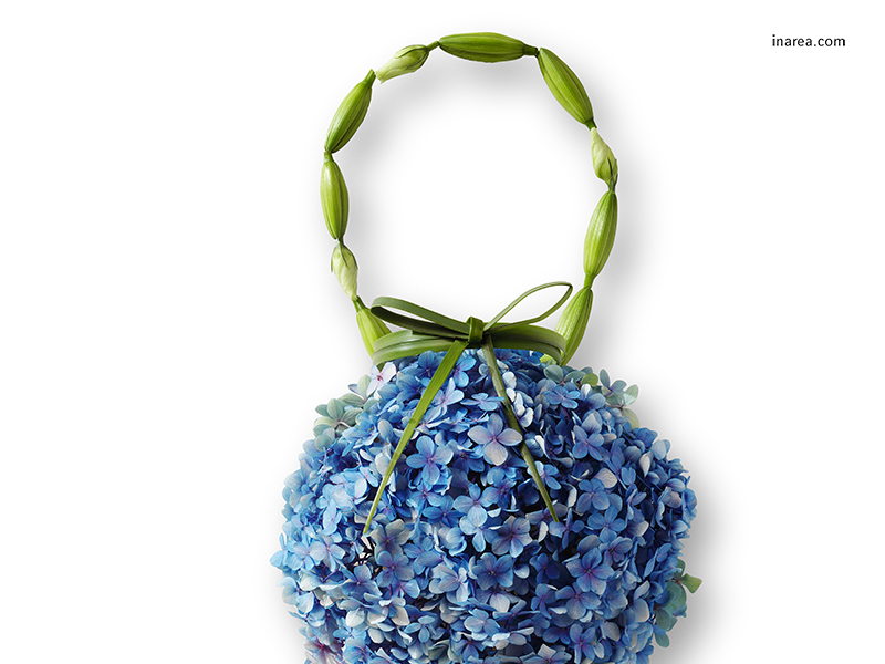 Inarea Imaginarea 01 28