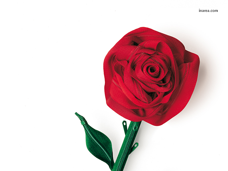 Inarea Imaginarea 01 30