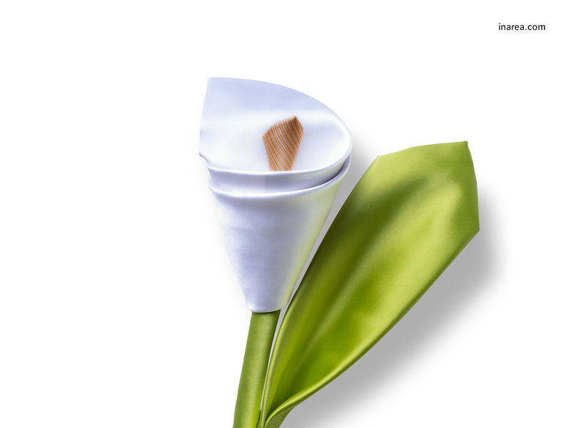 Inarea Imaginarea 02 12