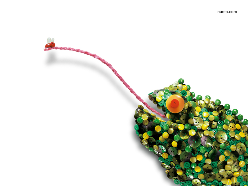 Inarea Imaginarea 04 11