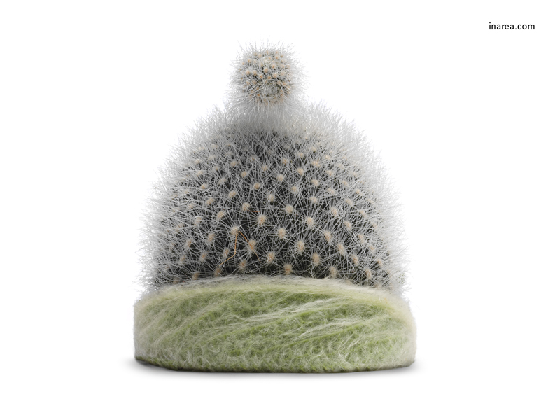 Inarea Imaginarea 05 02