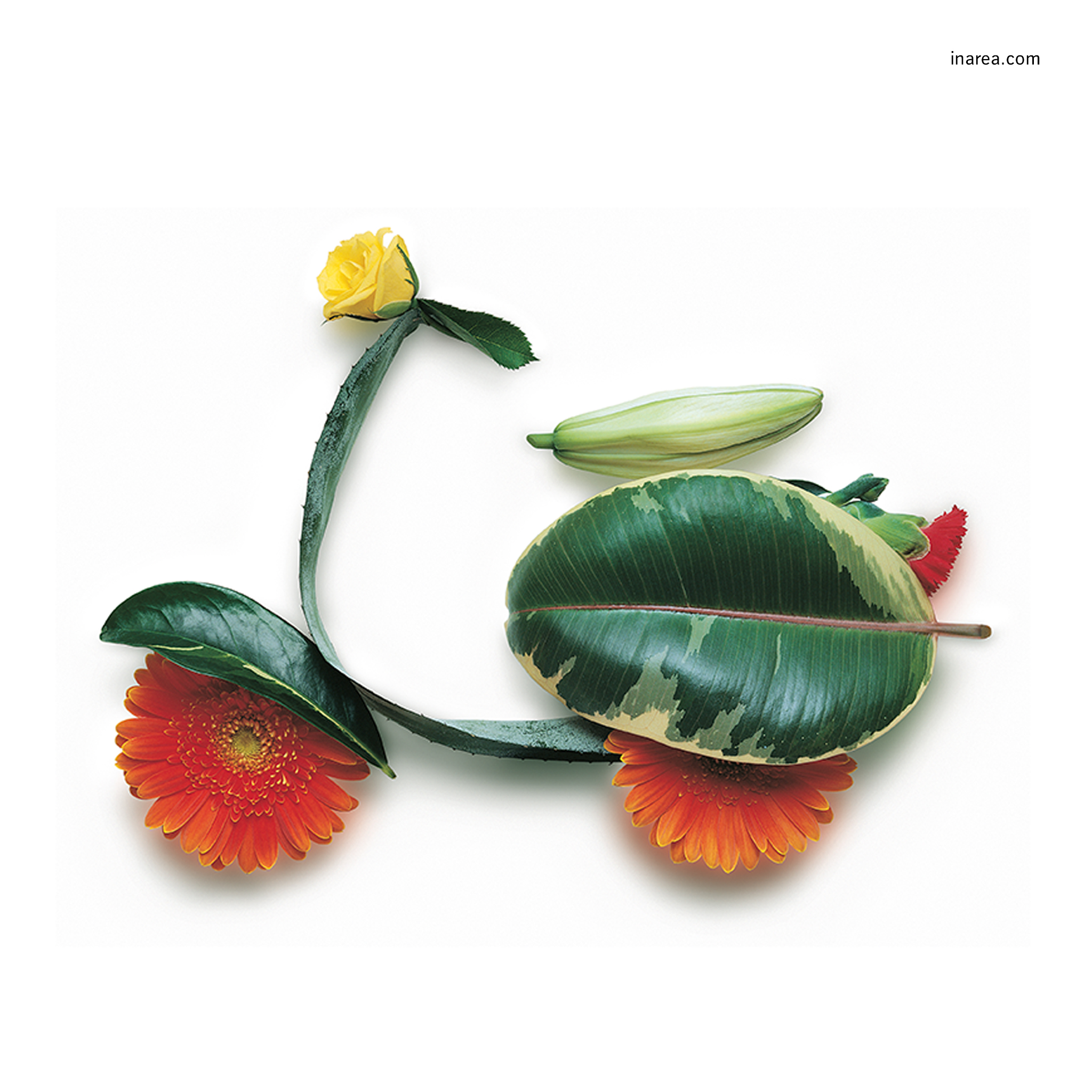 Inarea Imaginarea 05 04