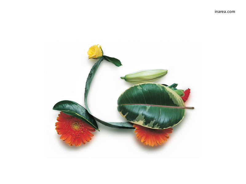 Inarea Imaginarea 05 04