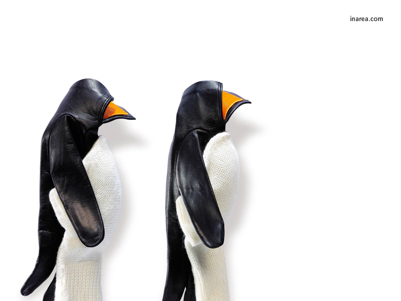 Inarea Imaginarea 07 03