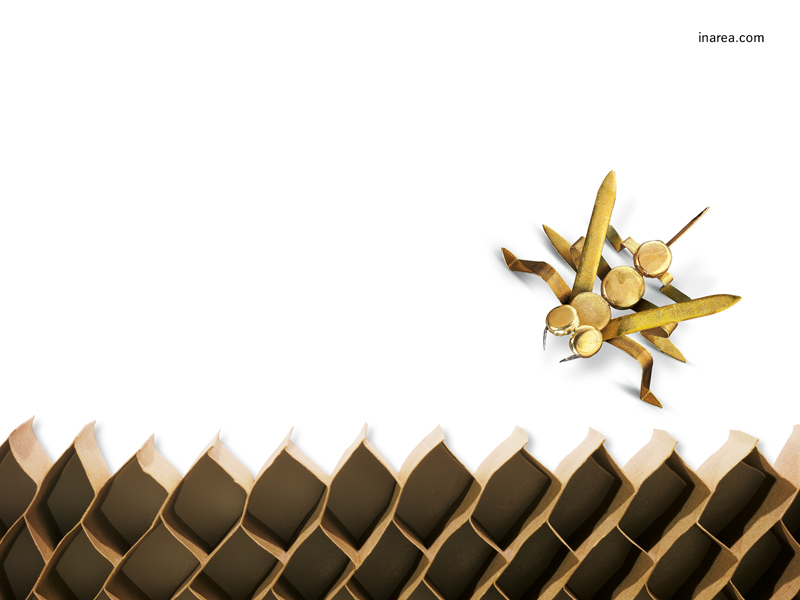 Inarea Imaginarea 07 10