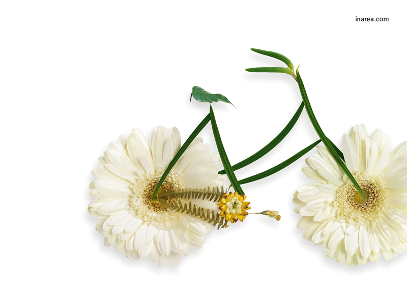 Inarea Imaginarea 08 03