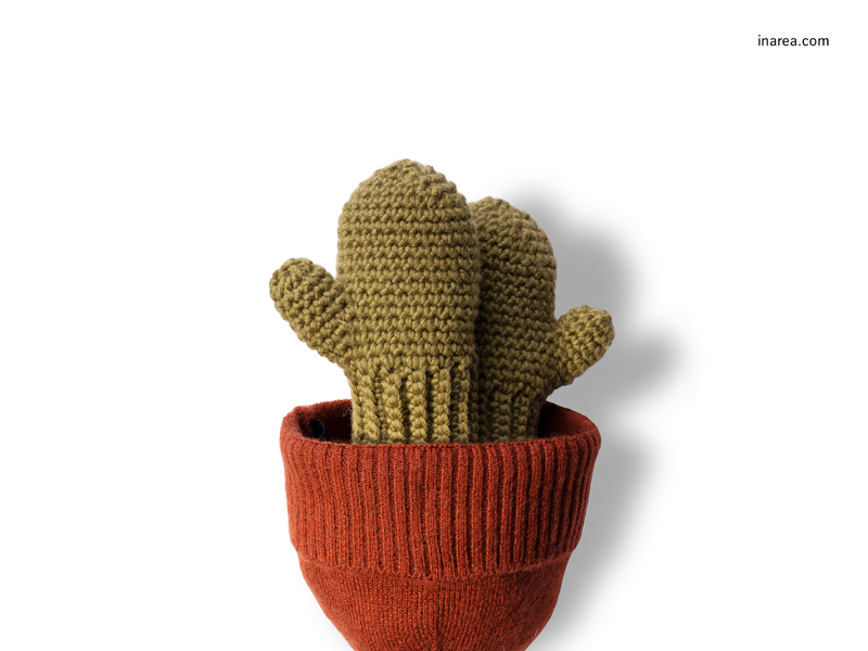 Inarea Imaginarea 08 08