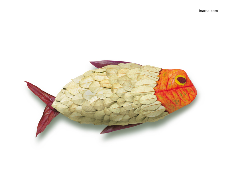 Inarea Imaginarea 09 12