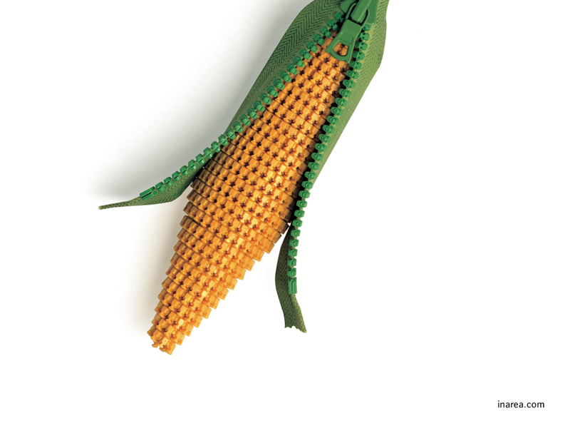 Inarea Imaginarea 10 08