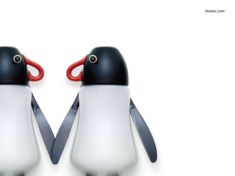 Inarea Imaginarea 13 03