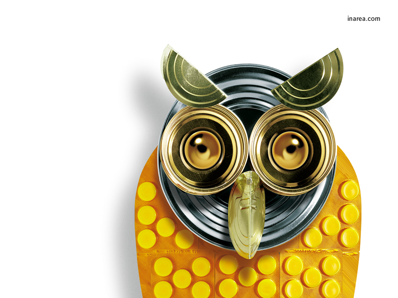 Inarea Imaginarea 14 03