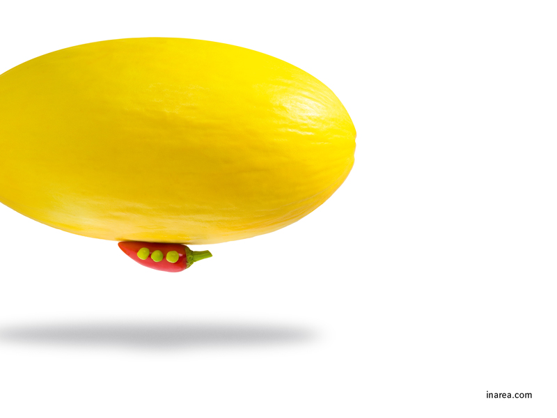 Inarea Imaginarea 14 04