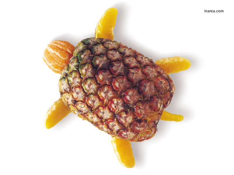 Inarea Imaginarea 15 09