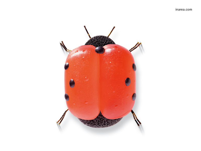 Inarea Imaginarea 15 10