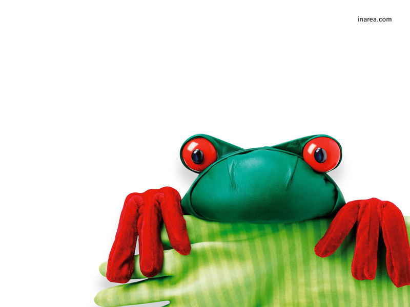 Inarea Imaginarea 16 08