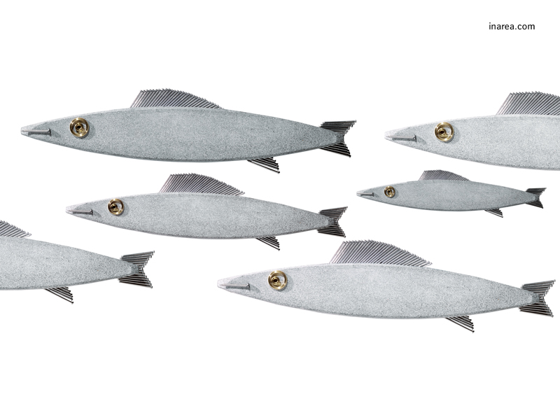 Inarea Imaginarea 16 12