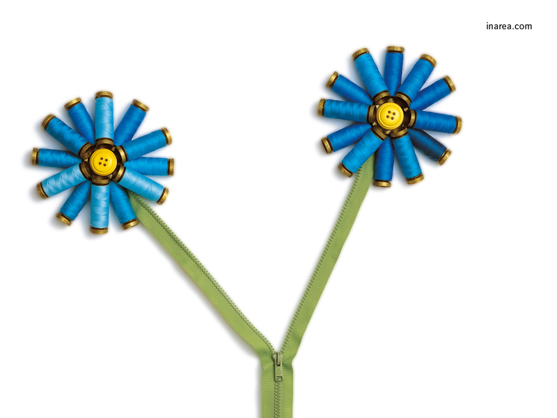 Inarea Imaginarea 20 03