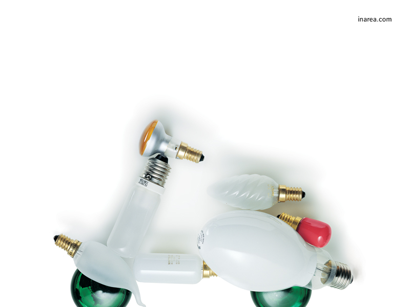 Inarea Imaginarea 20 08