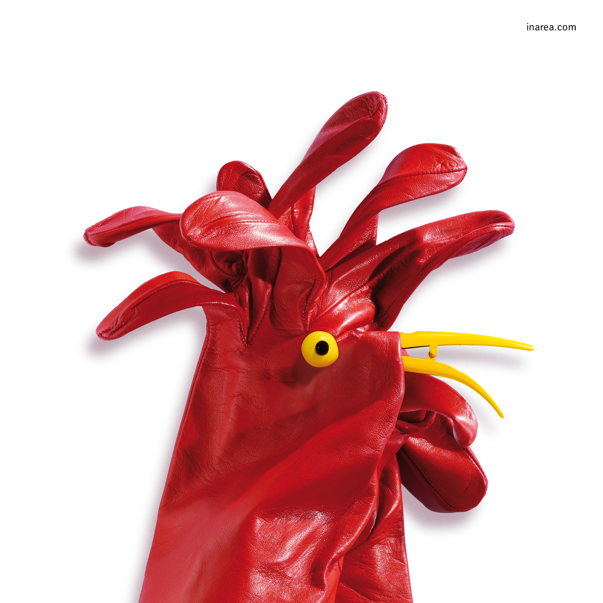 Inarea Imaginarea 20 12 1