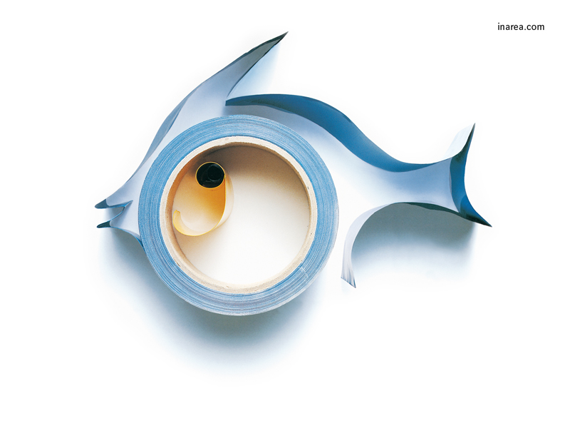 Inarea Imaginarea 21 02