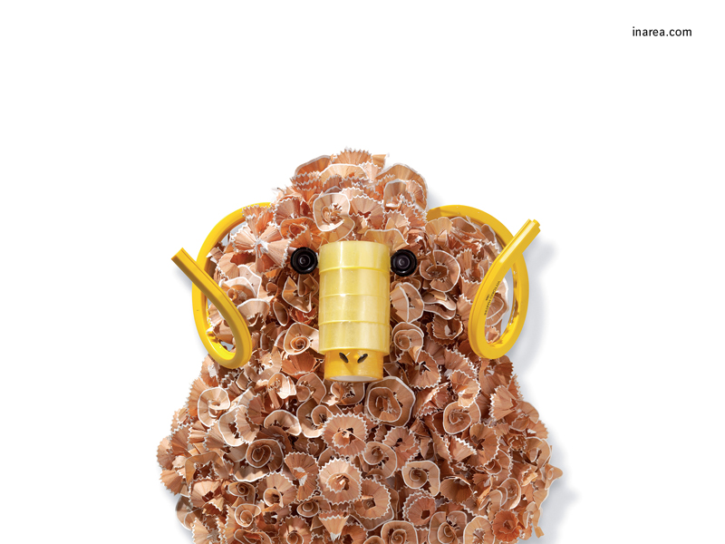 Inarea Imaginarea 21 03 2