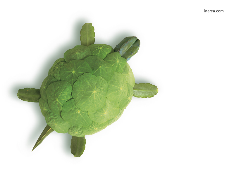 Inarea Imaginarea 22 04