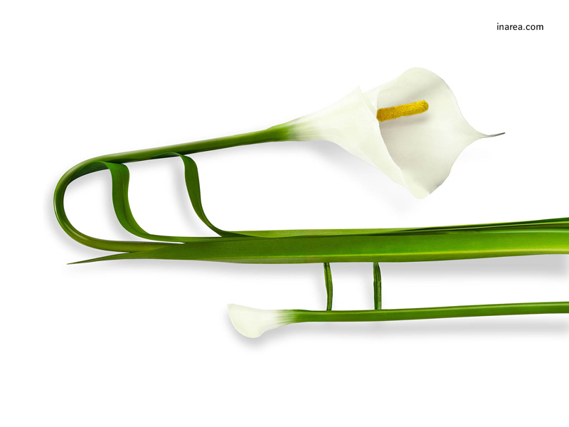 Inarea Imaginarea 22 08