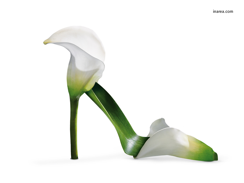 Inarea Imaginarea 23 02