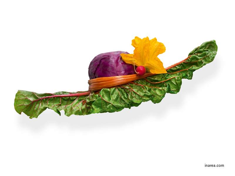 Inarea Imaginarea 23 03