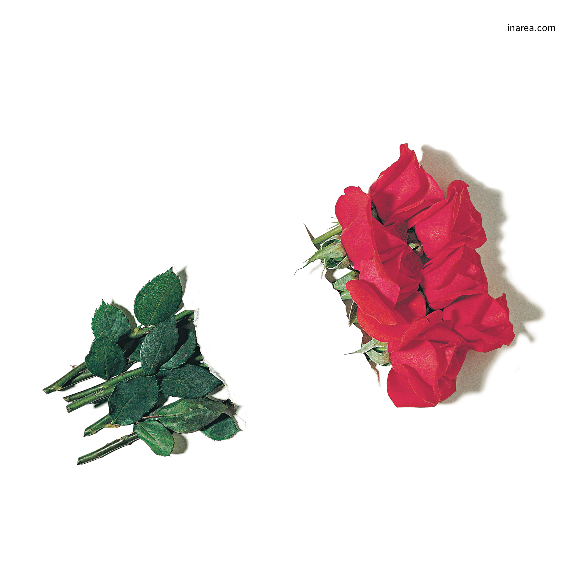 Inarea Imaginarea 23 05