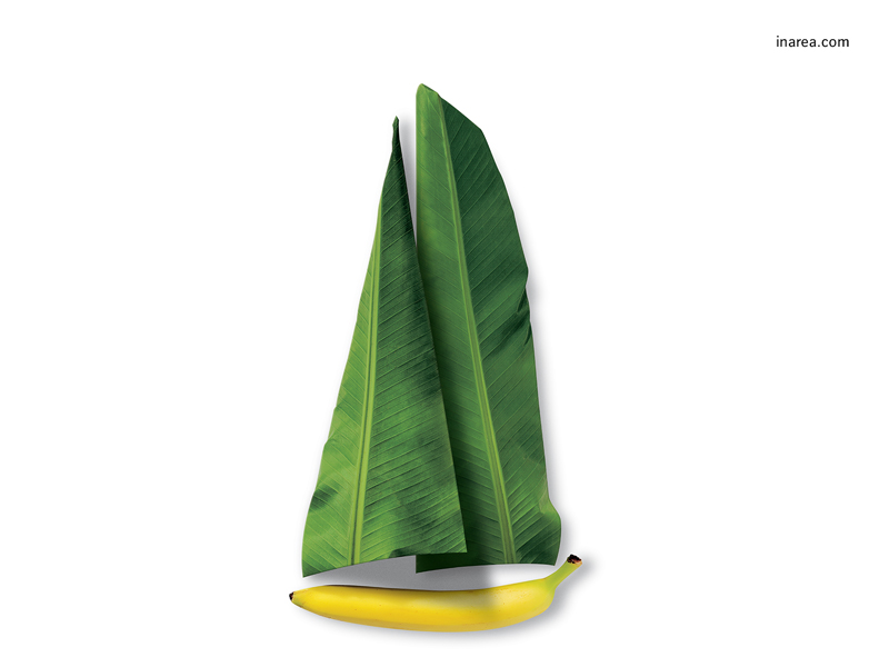 Inarea Imaginarea 23 11 1