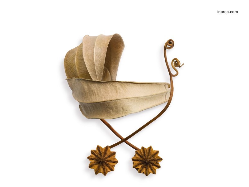 Inarea Imaginarea 24 11 1