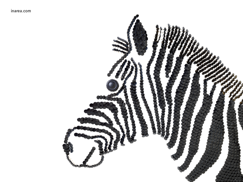 Inarea Imaginarea 25 02