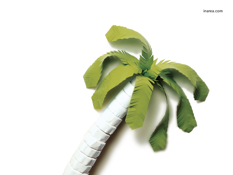 Inarea Imaginarea 25 04