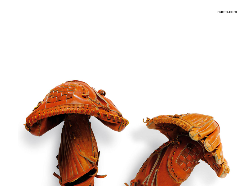 Inarea Imaginarea 25 10