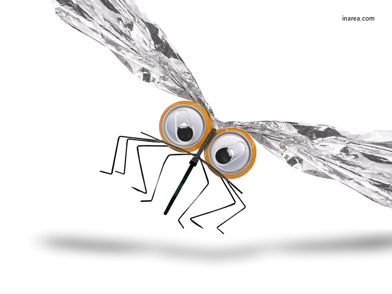 Inarea Imaginarea 28 04