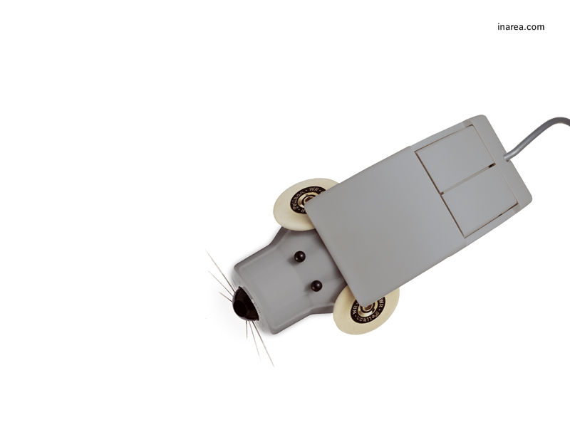 Inarea Imaginarea 30 09