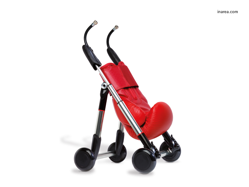 Inarea Imaginarea  31