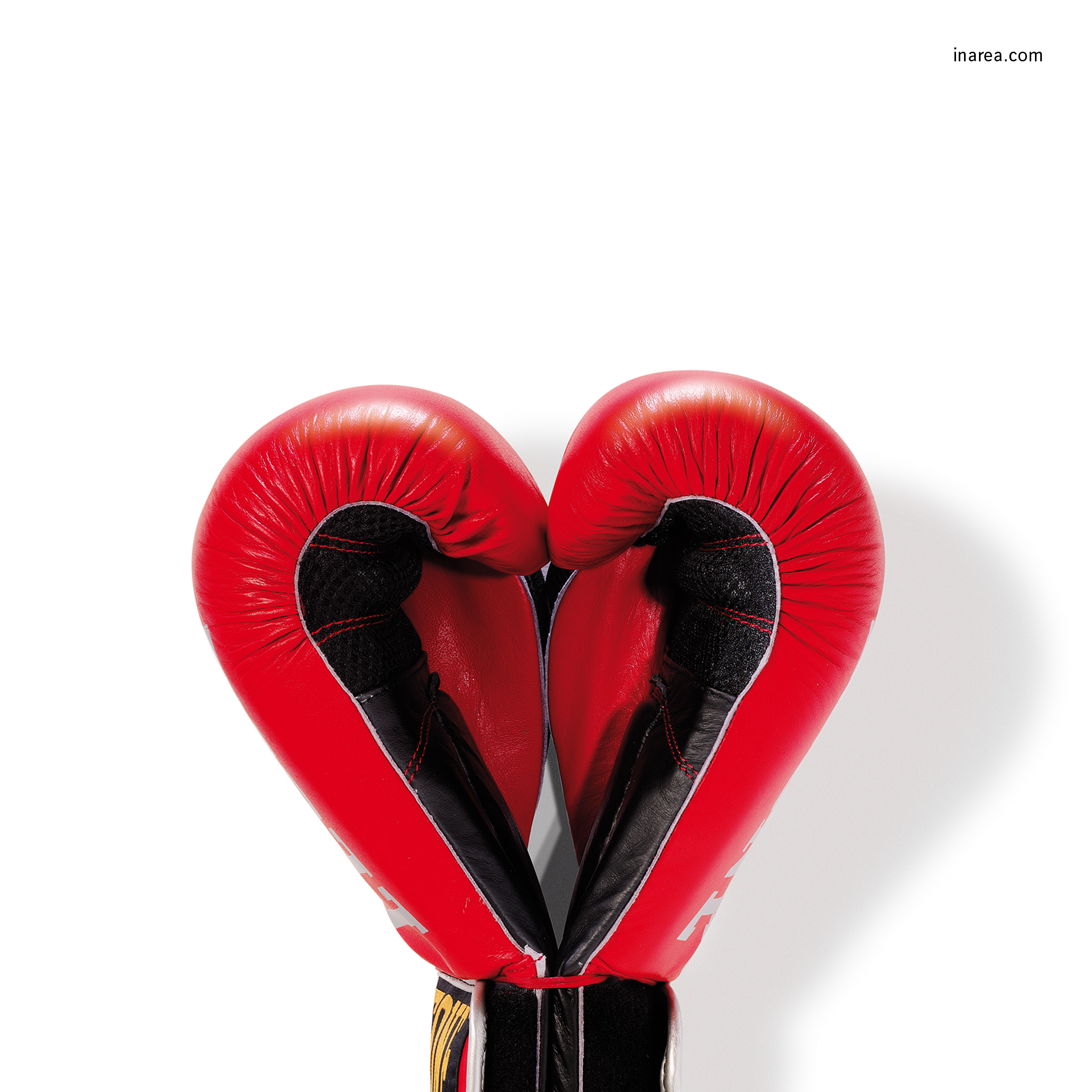 Inarea Imaginarea 14 02