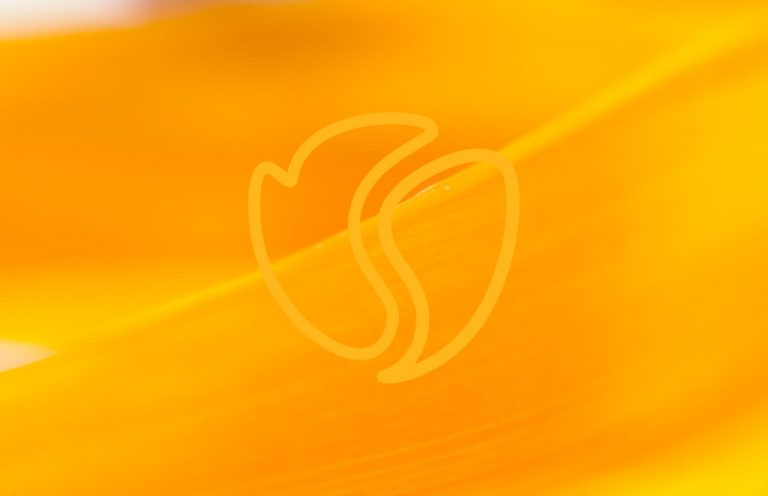 Tavola Disegno 8 1024x661 1 768x496